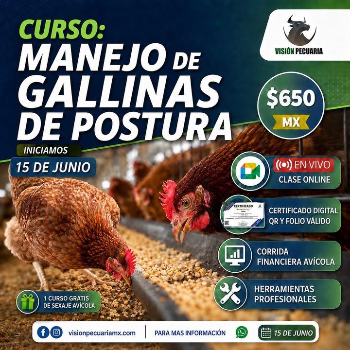 Portada de curso especializado de Visión Pecuaria