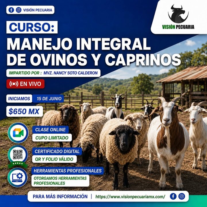 Portada de curso especializado de Visión Pecuaria