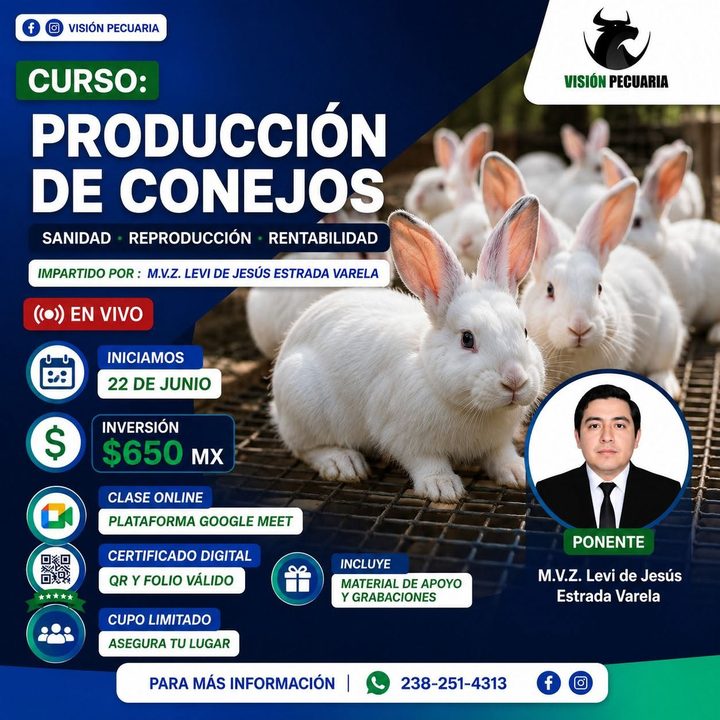 Portada de curso especializado de Visión Pecuaria