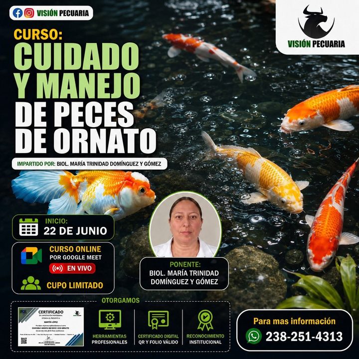 Portada de curso especializado de Visión Pecuaria