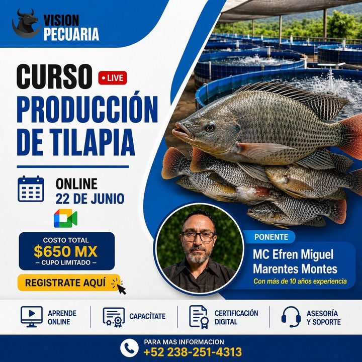 Portada de curso especializado de Visión Pecuaria